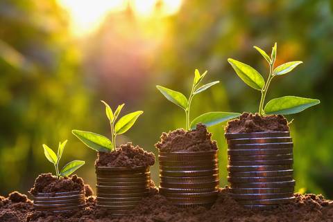 Coins with plants growing on them
