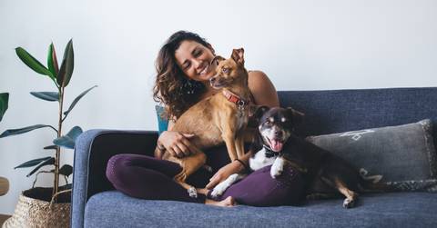 fit woman having fun with adorable mongrel dogs