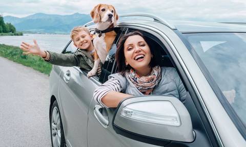 How to Switch Car Insurance (in 7 Simple Steps)