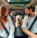 A happy family with their dog in a car
