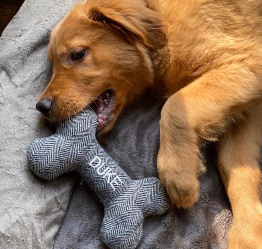 Embroidered dog toy from Hither Rabbit