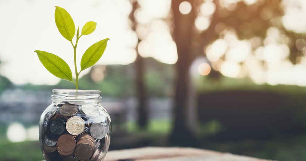 Jar of coins with plant growing inside