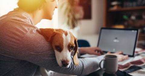 man working from home with dog