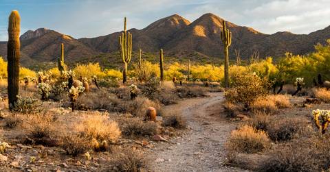North Scottsdale, Arizona